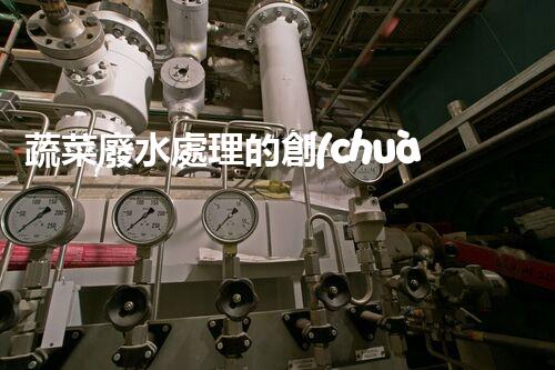 蔬菜廢水處理的創(chuàng)新之路？揭秘綠色科技的以后！